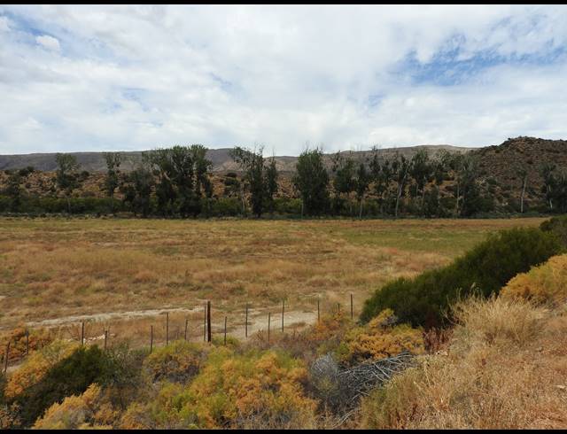390HA FARM FOR SALE IN PRINCE ALBERT RURAL